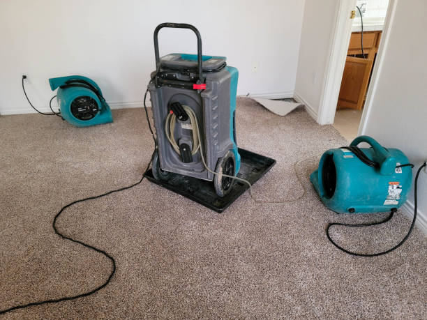 Best Local water damage restoration  in Mineral Ridge, OH