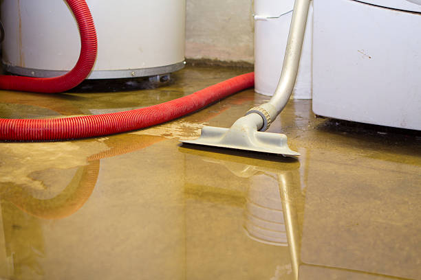 Best Water damage cleanup near me  in Mineral Ridge, OH