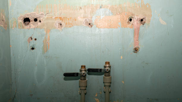 Best 24/7 water damage repair  in Mineral Ridge, OH
