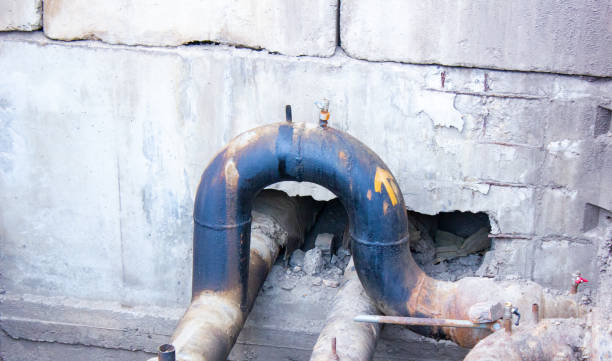 Best Flood damage cleanup  in Mineral Ridge, OH